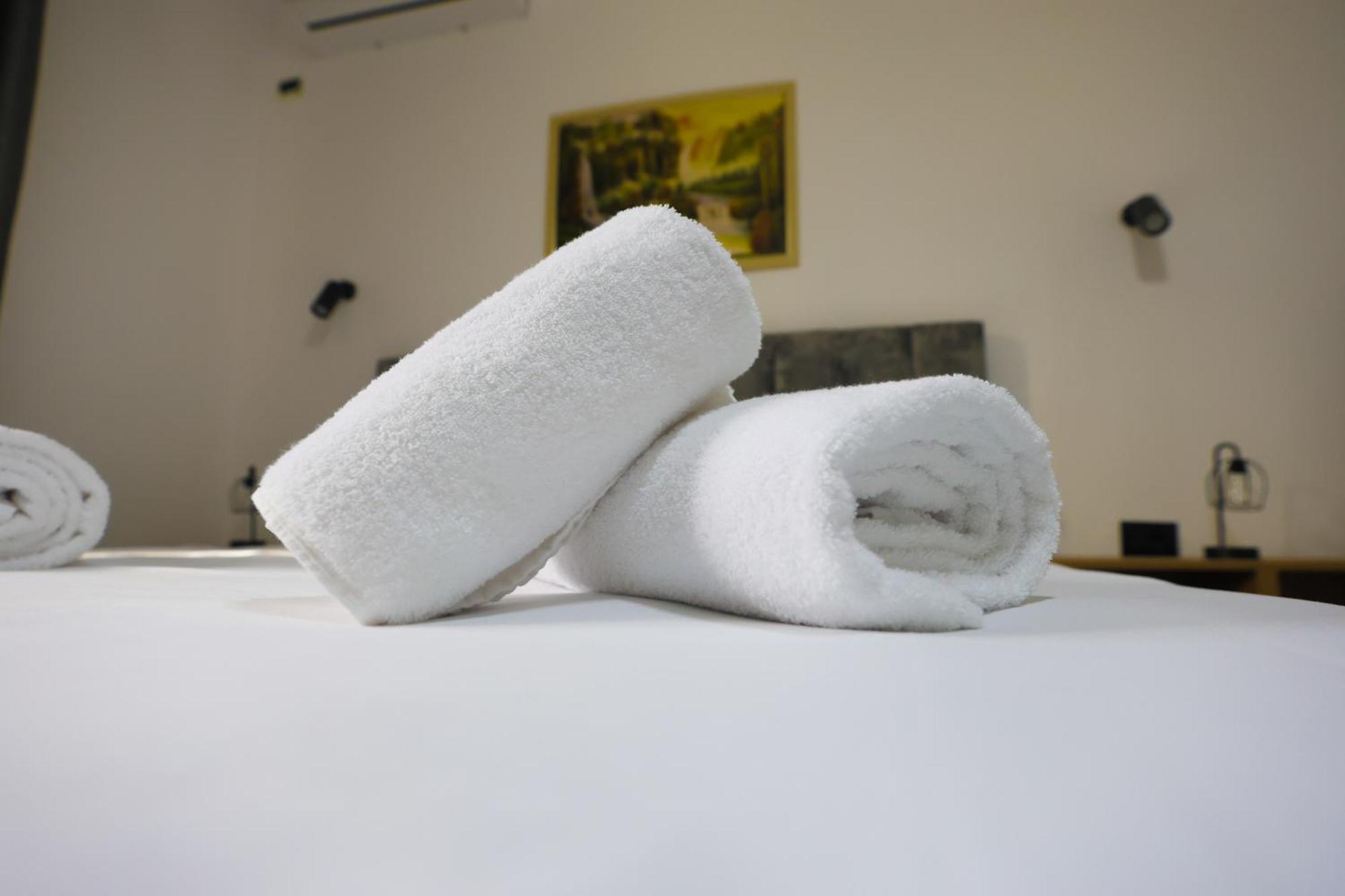 Vila Alizee Hotel ティラナ エクステリア 写真