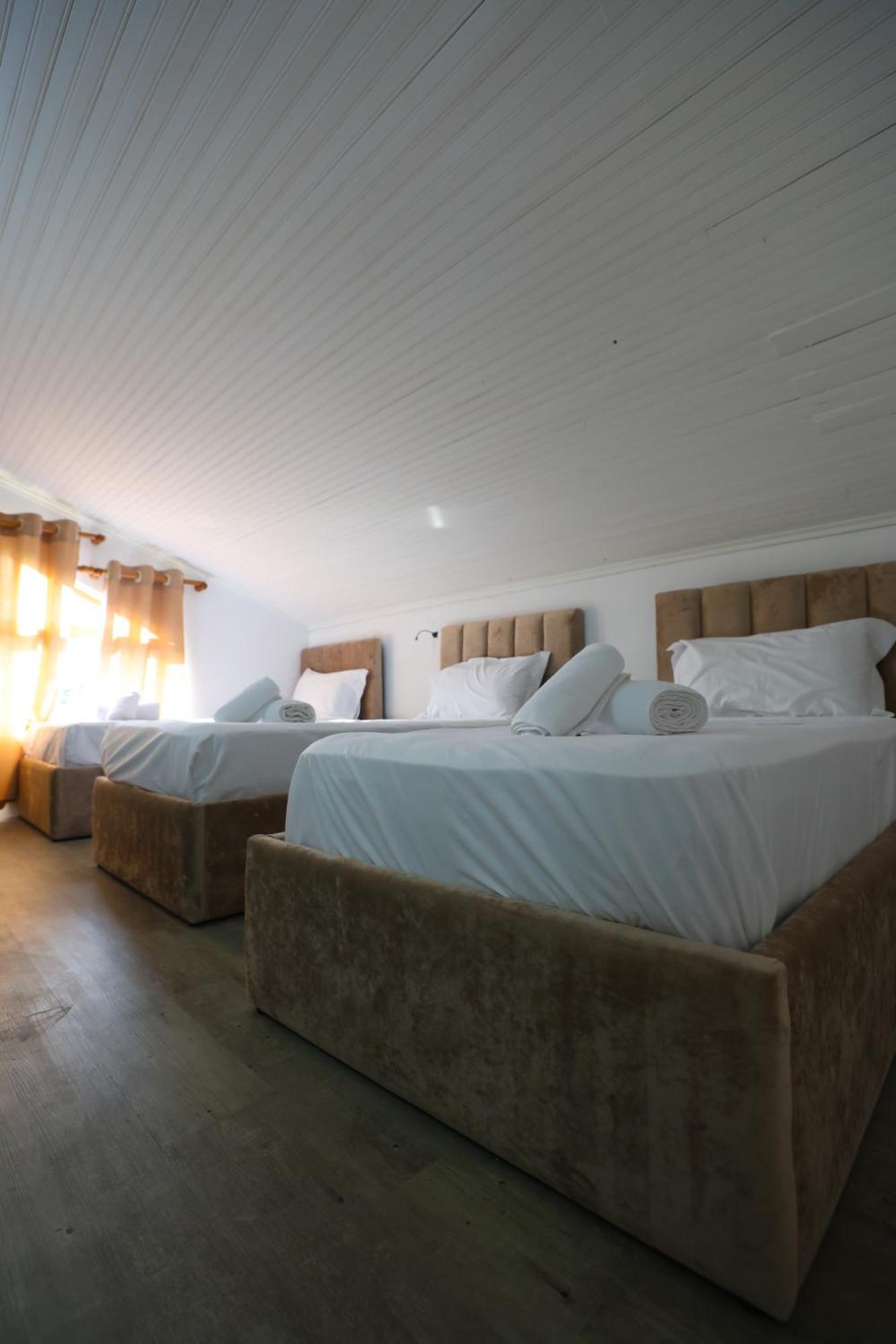 Vila Alizee Hotel ティラナ エクステリア 写真